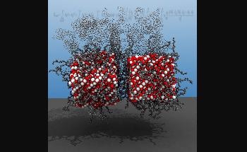 Researchers Develop a New Tool to Perform Multi-Functional Magnetic Nanoparticles’ Simulations
