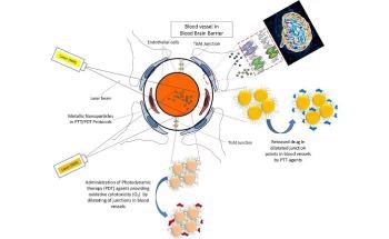 Experts Employ Nanomaterial-Based Phototherapy Modalities for Cancer Treatment