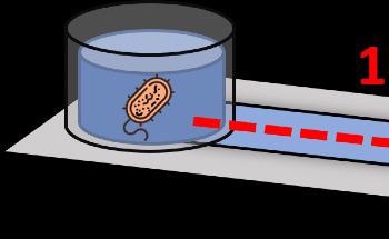 Nano-Scale Translating Device Allows Unrelated Organisms to Communicate