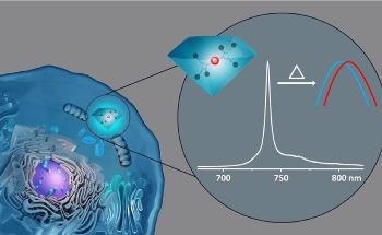 Silicon-Vacancy Nanodiamonds See Live Cells in New Light