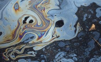 Plant-Based Sponge Offers New Route to Ocean Oil Spill Cleanup
