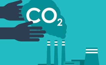 Linked Polymer Network Enhances CO2 Capture