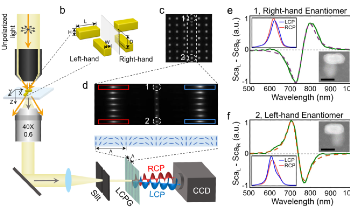 Researchers Use LCPG Approach to Measure Single Nanostructure’s Circular Dichroism