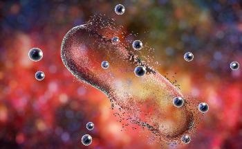 Study Paves the Way to Use 'Translating' Nanoparticles for Biomedical Applications