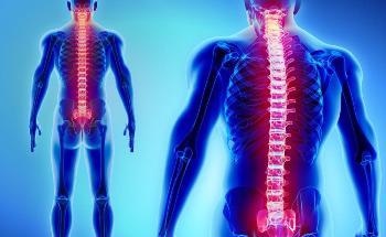 Nanofiber-Hydrogel Treatment for Spinal Cord Injury