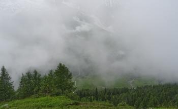 Eco-Friendly Fog Harvesting Could Help Address Water Shortages