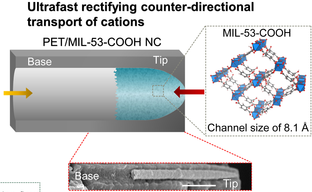 Researchers Develop a Productive Nanodevice, Likely To Filter Proton and Alkaline Metal Ions