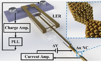 Researchers Analyze the Elastic Properties of Gold Nanocontacts