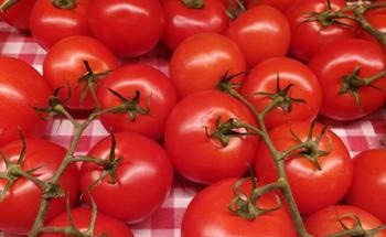 Nanomaterial Increases Bioavailability of Important Dietary Component