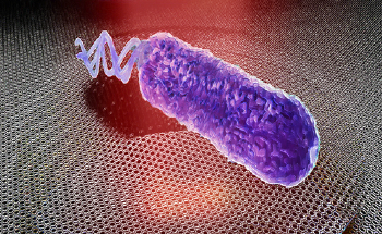 Novel Technique Measures Nanomotion of Bacterium in its Aqueous Growth Environment