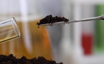 Carbon Foam Solutions for Polluted Soil Remediation