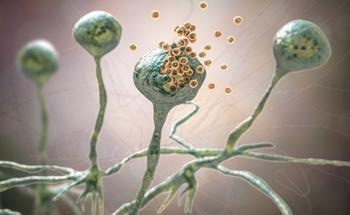 Engineered Nanocomposite Detects Common Food Fungus
