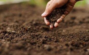 Positive Results Obtained from TiO2 Nanoparticle Treated Soil
