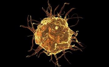 TMDs Stimulate Trained Immunity in Macrophages via Epigenetics