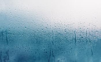 2D Material Nanocomposite Enables Ideal Humidity Sensor
