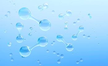 Insight into Active Sites Involved in the Oxygen Reduction Reaction