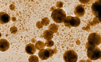 Gold Nanoparticles May Enhance Healing through Promotion of Key Proteins