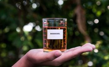 Finding the Best Nanocatalyst to Make Biodiesel from Microalgae