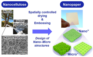Researchers Develop Nanocellulose Paper Semiconductors for Better Tunability of Electronic Properties