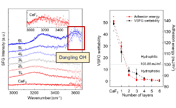 Study Demonstrates VSFG Wettability to Estimate Wettability of 2D Materials