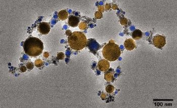 MSU Researchers Build ‘Nanofactories’ to Help Make Medicines and More