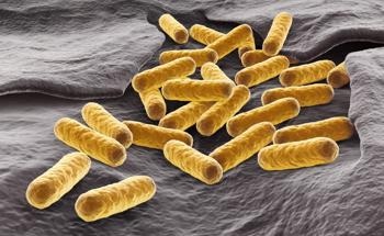 Next Generation Antibacterial Agents: Positively Charged Silver Nanoparticles