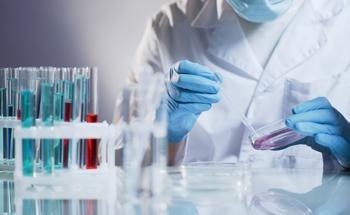 Nanotoxicological Evaluation of Bioinspired Nanomaterials
