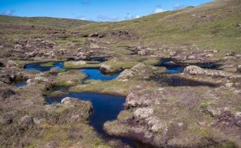 Nanocomposites Explored as Peatland Paddy Growth Media