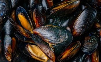 Mussels Inspire Enhanced Nanocrystal-Keratin Composites