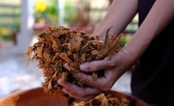 Coconut-Derived Nanocomposite has Microwave Absorption Abilities