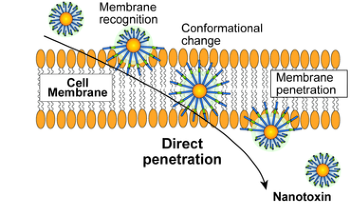 Scientists Develop Nanomachines that Use Mechanical Molecular Movements to Kill Cells
