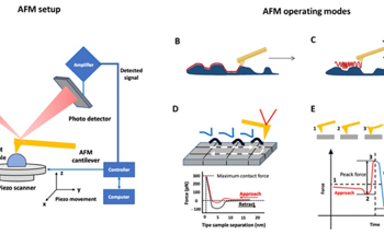 Advancements in AFM Solidify its Use in Nanomaterial Characterization