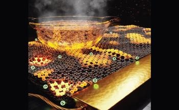 Nanoscale-Thick Graphite Films Act as High-Performance Flexible Heater Panels
