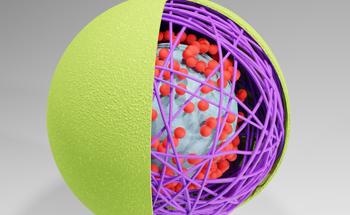 In Situ TEM Shows Why Polymer Nanocapsules Deform