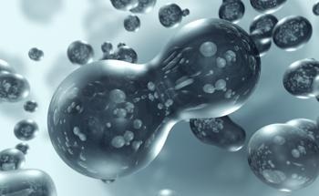 Sustainable Nanofluid Coatings Developed with Promising Wettability