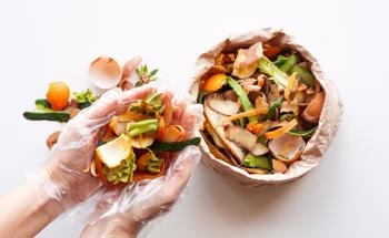 Making Antibacterial Nanoparticles from Fruit Waste