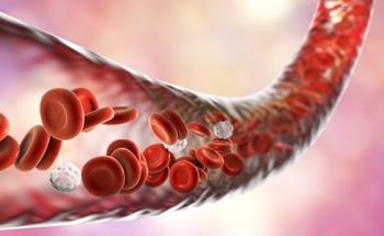 MR Angiography Nanoprobes for Studying Microvessels and Vascular Disorders