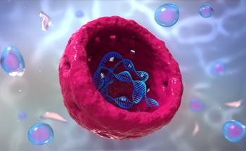 Carbon Dots Target Nucleolus and Monitor in Real-Time