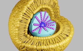 Showcasing the True Potential of SERS-based Raman Imaging for Biological Analysis