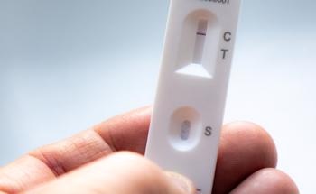 Using TMDs to Enhance Lateral Flow Immunoassay
