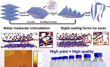 New Insights Into Exfoliating High-Quality h-BNNSs From h-BN Flakes