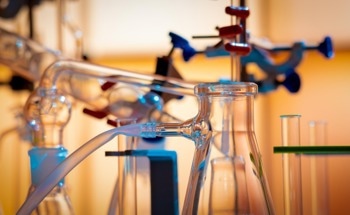 Sustainable Synthesis of Carbon-Based Oxygen Reduction Reaction Electrocatalyst