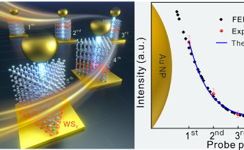 Scientists Devise Nano-Ruler to Shine Light on the Longitudinal Plasmonic Fields in Nanocavities