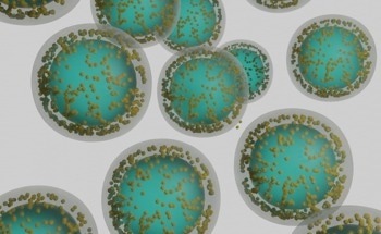 Electrosprayed Seaweed Derived Nanoparticles Loaded with Sensitive Bioagents
