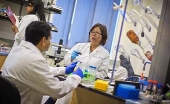 Biodegradable Nanoparticles May Effectively Deliver Therapeutic Agents to Treat Diseases