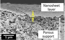 New Insights into Nanosheet-Laminated Photocatalytic Membrane