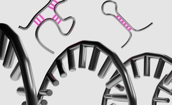 New Dual-SERS Biosensor Improves miRNA Detection
