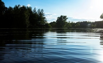 Natural Organic Matter Reduces Aquatic Toxicity of Nanoparticles