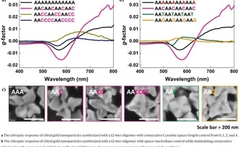 Oligonucleotide-Directed Synthesis of Chiral Gold Nanoparticles