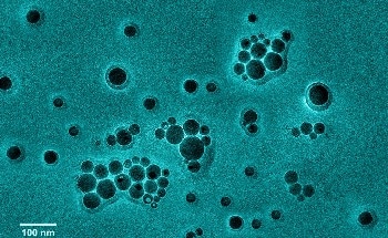 Longest, Highly Conductive Molecular Nanowire Holds Great Promise for the Field of Molecular Electronics